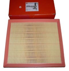 Filtro Aria Originale 1638027780 Citroen Peugeot