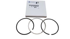 Fasce elastiche Originale 1613665280 Citroen Peugeot