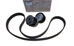 Tendicinghia Trasmissione Originale 117201925R Dacia Renault