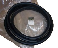 Guarnizione Porta Posteriore Originale Renault 769230258R