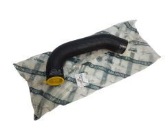 Tubo aria Citroen Peugeot Fiat 1629086680 Originale