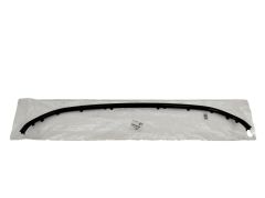 Modanatura Paraurti Anteriore Originale 1610194480 Citroen C4 Picasso 2