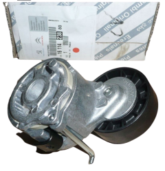 Tendicinghia Originale Jumper Boxer Ducato III 3.0 HDi 1611423880