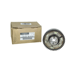 Ruota distribuzione Originale Renault Megane Scenic Clio 1.6 TCe 13025BV80A