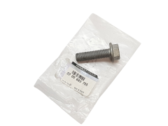 Bullone Renault 8200689705 Originale