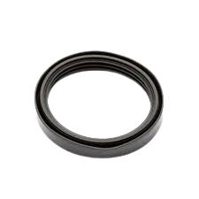 Guarnizione, sigillo Originale Renault Nissan 1.4 8v 0100100Q0C
