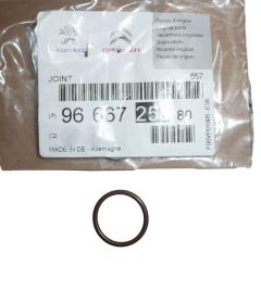 Guarnizione, sigillo Wtrysku Nuovo Originale 9666725880 Citroen C5 C6 3.0 HDI
