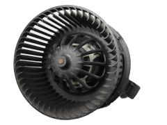 pjj1007