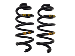 Molle per sospensioni Destra/Sinistra Posteriore Captur 550201130R Renault