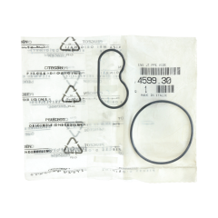 Guarnizione, sigillo Nuovo Originale Citroen Peugeot 2.0 HDI 459930