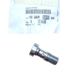 Bullone Nuovo Originale 1606850780 Citroen Peugeot