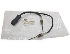 Sensore Temperatura Gas Scarico Originale Citroen Peugeot 1.6 Blue HDi 9808312080