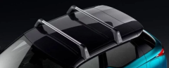 Portapacchi Nuovo Originale 1635025780 Citroen