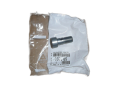 Bullone Nuovo Originale 037665 0376.65 Citroen Peugeot