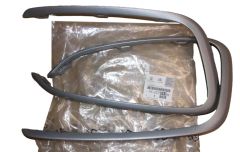 Modanatura Paraurti Sinistra Destra Originale 1622709380 Citroen