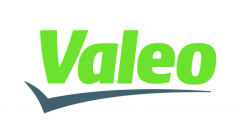 Interruttore luci 804917 9674259580 Citroen Peugeot Valeo