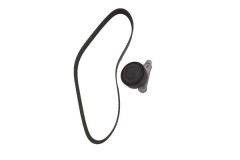 Tendicinghia Trasmissione 04C145299B 04C260849E B12362 VW Borsehung