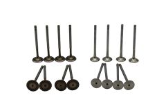 Valvole Fare VW Audi Seat Skoda 03C109601M 03C109611R B18138 Borsehung