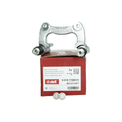 Supporto pinza freno Posteriore Fare VW 8E0615425F 66151726901 Vika