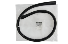 Guarnizione Porta Nuovo Originale 8200172146 Renault