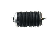 Molla pneumatica Posteriore Sinistra 4G0616001R 56160000901 Audi A6 A7 Vika