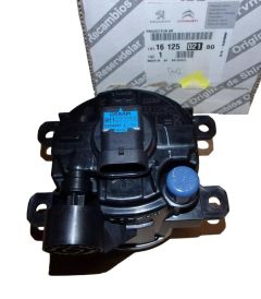 Fendinebbia Originale 1612502180 Citroen Peugeot