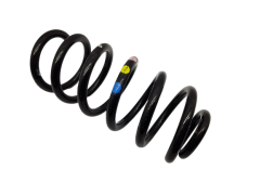 Molla Elicoidale Posteriore Clio 4 550202966R Renault