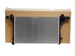 Radiatore Renault 214106556R Originale