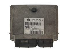 Centralina 036906034DG IAW4MV.DG 61601.018.08 Seat VW 2878