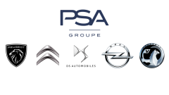 Modulo di gestione Posteriore Sinistro Fare Peugeot Citroen 9109E4 PSA