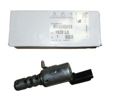 Valvola Distribuzione Originale Citroen Peugeot 1.8-2.0 16v 1920LQ