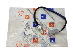 Sensore Retromarcia Originale Citroen Peugeot C1 107 225754