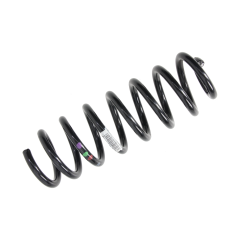 Molla Elicoidale Posteriore Originale 550205576R Renault