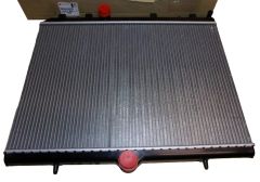 Radiatore Motore Originale 1691346680 Citroen Peugeot