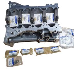 Blocco Motore Nuovo Originale 2.0 16V 110107443R Renault