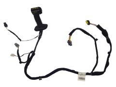 Cablaggio porta Sinistro Anteriore Clio 3 241256326R Renault