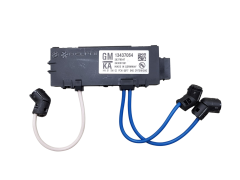 Modulo Alarm Opel 13437064 28379547 GM