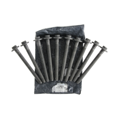 Bullone Kit Originale 110560195R Renault Nissan