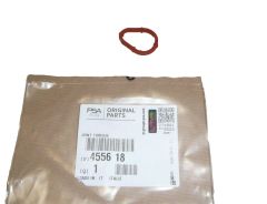 Guarnizione, sigillo Pompy Vacum Nuovo Originale 4556.18 455618 Citroen Peugeot