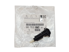 Ugello Lavaggio Originale Citroen C4 Picasso 9676307480