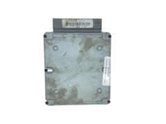 Centralina 1S4F-12A650-AC CLUE DPC-638 Ford Visteon 61919