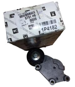 Tenditore Originale 5751.H6 5751H6 Citroen Peugeot
