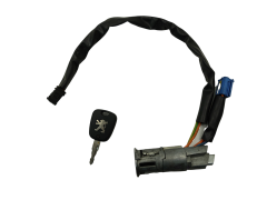 Blocchetto Accensione Peugeot 206 N0501539 4162Z1 Valeo 1091