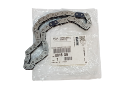Catena dentata Citroen Peugeot 2.7 HDi 0816G9 Nuovo Originale