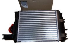 Intercooler Nuovo Originale 144967634R Renault Dacia