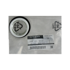 Paraolio Cuscinetto Renault 3818900QAD