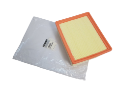 Filtro Aria Renault Opel Nissan 165460835R Originale