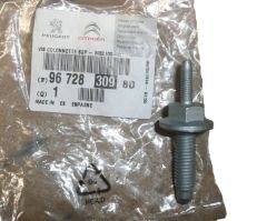 Bullone Kołyski Silnika Nuovo Originale 9672830980 Citroen C3 3 DS3