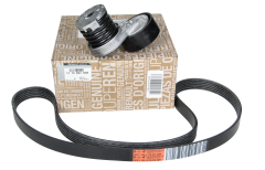 Tendicinghia 117209336R Renault