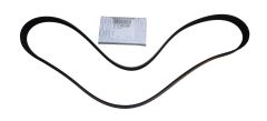 Cinghia Alternatore Originale 6PK 117202503R Renault